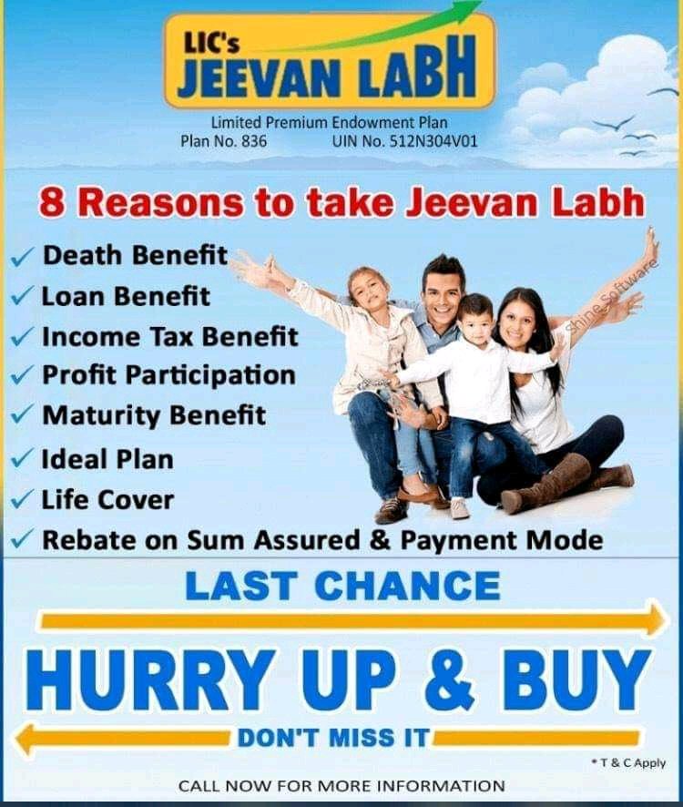 LABH 8