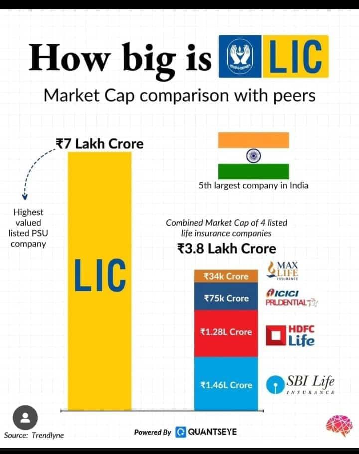 HOW BIG IS LIC